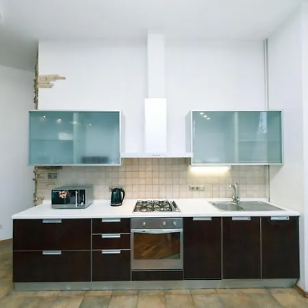 Apartment музейний провулок 4к Kyiv